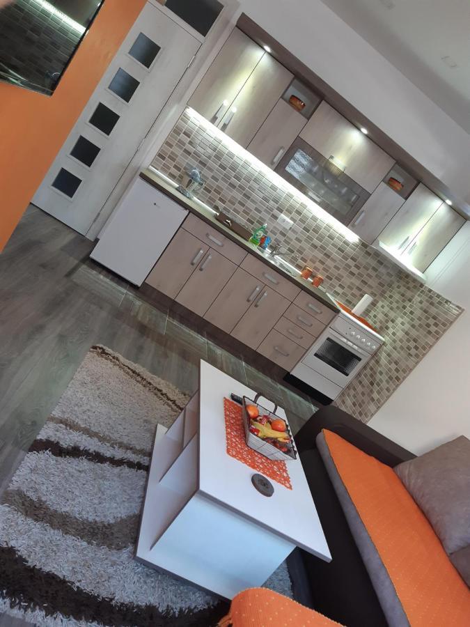 Apartman Hedonija Nova Varoš エクステリア 写真