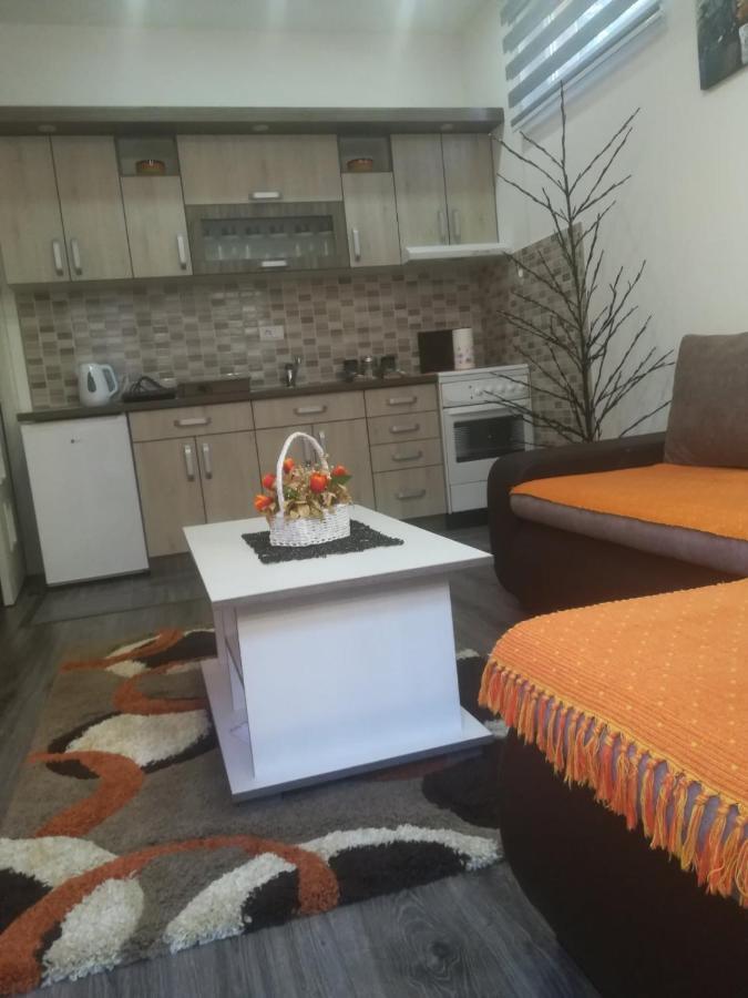 Apartman Hedonija Nova Varoš エクステリア 写真