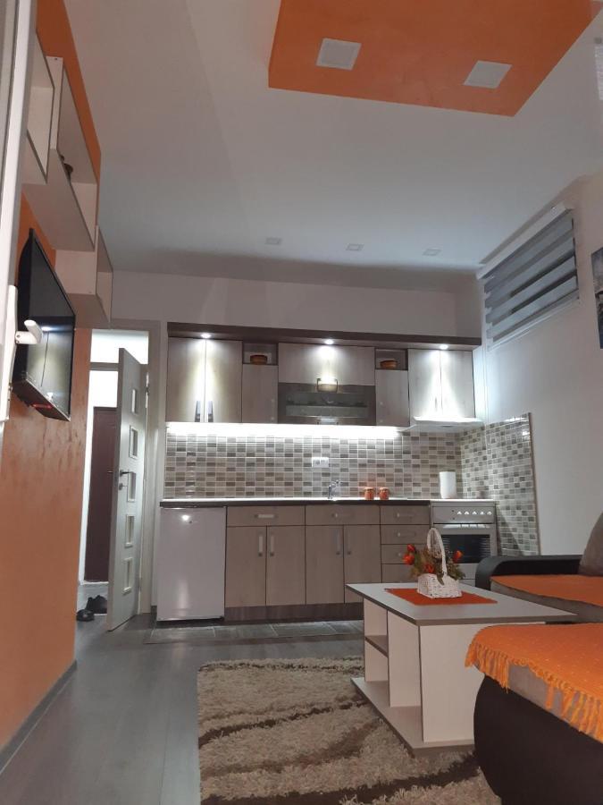 Apartman Hedonija Nova Varoš エクステリア 写真